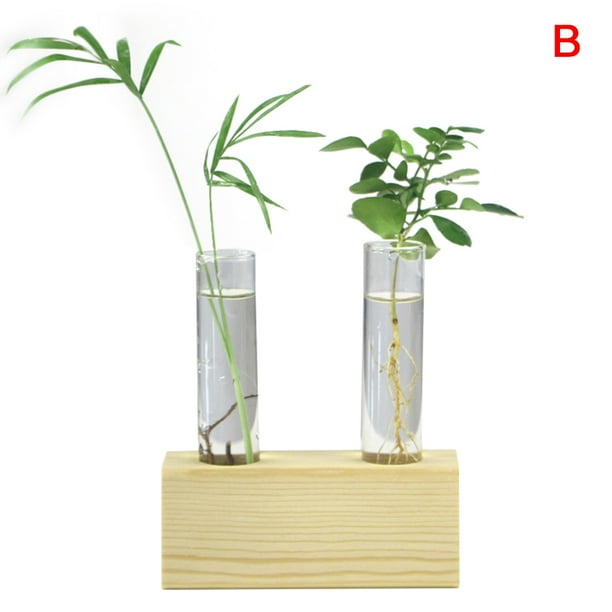 Glass Tube Vase Wooden Stand Flower Pots Hydroponic Plant Home Garden Decoration Glass Tube Vase Wooden Stand Flower Pots Hydroponic Plant Home Garden Decoration